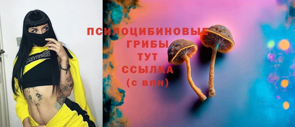 молекула духа Надым