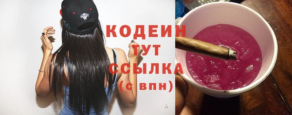индика Бежецк