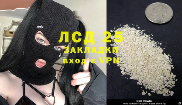СК Михайлов